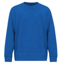 BSN SPORTS Men's Cotton Rich Fleece Crew Neck