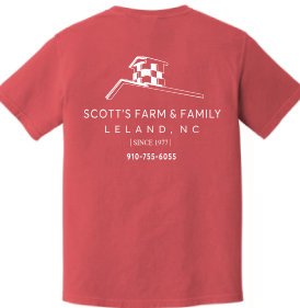 District Triblend SoftStyle Tee