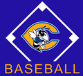 Central Baseball Full Front Prints