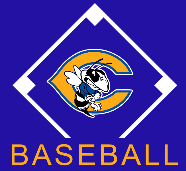 Central Baseball Full Front Prints
