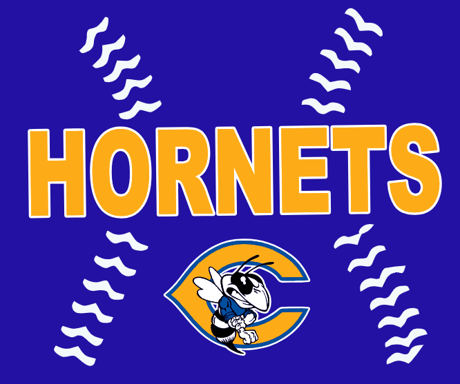 Central Baseball Full Front Prints